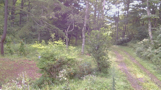 長野県菅平高原 ゆたか山荘 坂上 2026/08/26 07:15