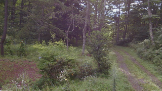 長野県菅平高原 ゆたか山荘 坂上 2026/08/26 07:45