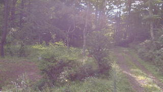 長野県菅平高原 ゆたか山荘 坂上 2026/08/26 08:00