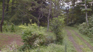 長野県菅平高原 ゆたか山荘 坂上 2026/08/26 08:45
