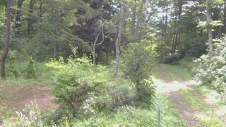 長野県菅平高原 ゆたか山荘 坂上 2026/08/26 09:00