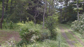 長野県菅平高原 ゆたか山荘 坂上 2026/08/26 09:15