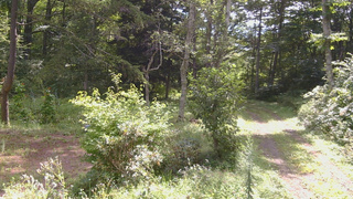 長野県菅平高原 ゆたか山荘 坂上 2026/08/26 09:30