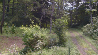 長野県菅平高原 ゆたか山荘 坂上 2026/08/26 09:45