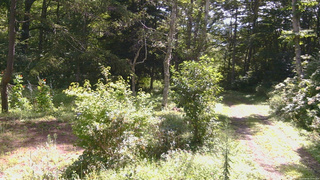 長野県菅平高原 ゆたか山荘 坂上 2026/08/26 10:00