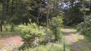 長野県菅平高原 ゆたか山荘 坂上 2026/08/26 10:30