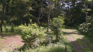 長野県菅平高原 ゆたか山荘 坂上 2026/08/26 10:45