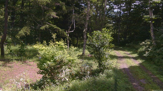 長野県菅平高原 ゆたか山荘 坂上 2026/08/26 11:00