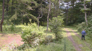 長野県菅平高原 ゆたか山荘 坂上 2026/08/26 11:15