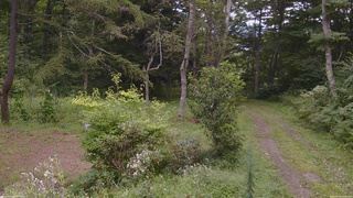 長野県菅平高原 ゆたか山荘 坂上 2026/08/26 11:30