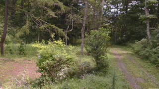長野県菅平高原 ゆたか山荘 坂上 2026/08/26 11:45
