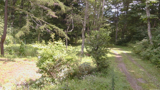 長野県菅平高原 ゆたか山荘 坂上 2026/08/26 12:00