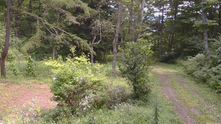 長野県菅平高原 ゆたか山荘 坂上 2026/08/26 12:15