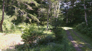 長野県菅平高原 ゆたか山荘 坂上 2026/08/26 12:45