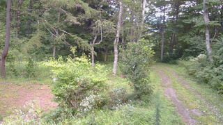 長野県菅平高原 ゆたか山荘 坂上 2026/08/26 13:15