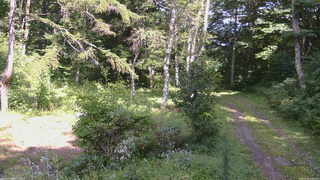 長野県菅平高原 ゆたか山荘 坂上 2026/08/26 14:00