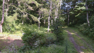 長野県菅平高原 ゆたか山荘 坂上 2026/08/26 14:15