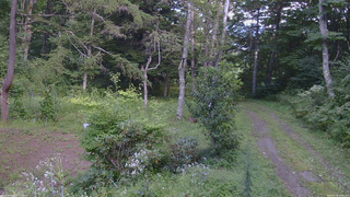 長野県菅平高原 ゆたか山荘 坂上 2026/08/26 14:45