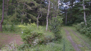 長野県菅平高原 ゆたか山荘 坂上 2026/08/26 15:00