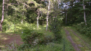 長野県菅平高原 ゆたか山荘 坂上 2026/08/26 15:15