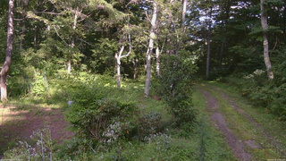 長野県菅平高原 ゆたか山荘 坂上 2026/08/26 15:30