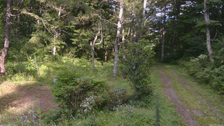 長野県菅平高原 ゆたか山荘 坂上 2026/08/26 15:45