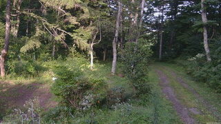 長野県菅平高原 ゆたか山荘 坂上 2026/08/26 16:30