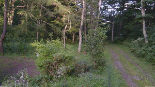 長野県菅平高原 ゆたか山荘 坂上 2026/08/26 17:00
