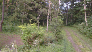 長野県菅平高原 ゆたか山荘 坂上 2026/08/26 17:15