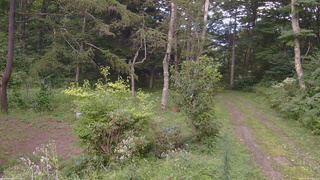 長野県菅平高原 ゆたか山荘 坂上 2026/08/26 17:30