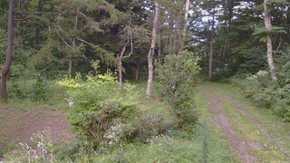 長野県菅平高原 ゆたか山荘 坂上 2026/08/26 17:45