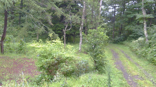 長野県菅平高原 ゆたか山荘 坂上 2026/08/27 08:15