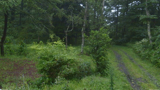 長野県菅平高原 ゆたか山荘 坂上 2026/08/27 09:00