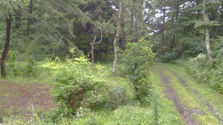 長野県菅平高原 ゆたか山荘 坂上 2026/08/27 09:30