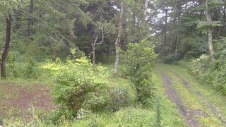 長野県菅平高原 ゆたか山荘 坂上 2026/08/27 10:00