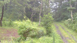 長野県菅平高原 ゆたか山荘 坂上 2026/08/27 10:45