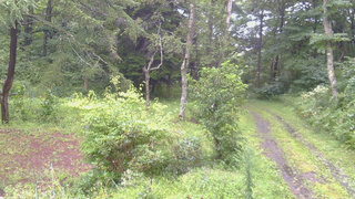 長野県菅平高原 ゆたか山荘 坂上 2026/08/27 11:30