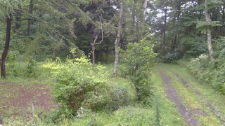 長野県菅平高原 ゆたか山荘 坂上 2026/08/27 12:00