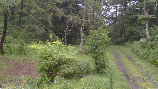 長野県菅平高原 ゆたか山荘 坂上 2026/08/27 12:45