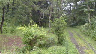 長野県菅平高原 ゆたか山荘 坂上 2026/08/27 13:00