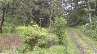長野県菅平高原 ゆたか山荘 坂上 2026/08/27 13:30