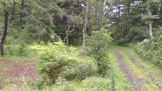 長野県菅平高原 ゆたか山荘 坂上 2026/08/27 14:30