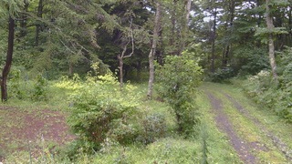 長野県菅平高原 ゆたか山荘 坂上 2026/08/27 14:45