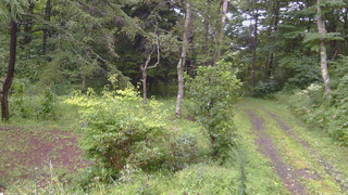 長野県菅平高原 ゆたか山荘 坂上 2026/08/27 15:15