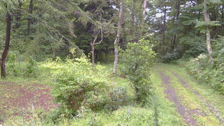長野県菅平高原 ゆたか山荘 坂上 2026/08/27 15:30