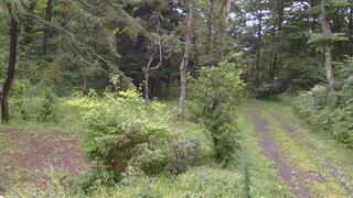 長野県菅平高原 ゆたか山荘 坂上 2026/08/27 16:00