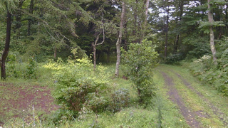 長野県菅平高原 ゆたか山荘 坂上 2026/08/27 16:15