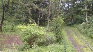 長野県菅平高原 ゆたか山荘 坂上 2026/08/27 16:45