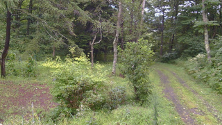 長野県菅平高原 ゆたか山荘 坂上 2026/08/27 17:00