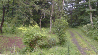 長野県菅平高原 ゆたか山荘 坂上 2026/08/27 18:00